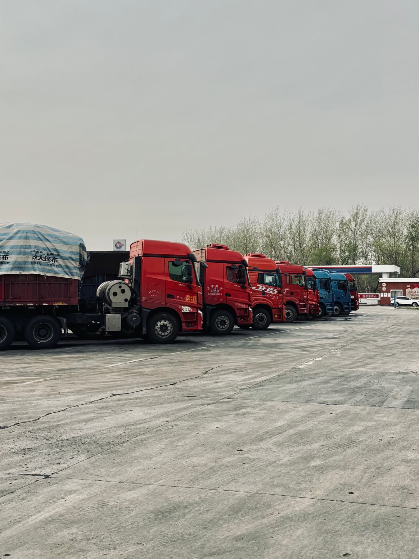 Tractor units lined up across a yard